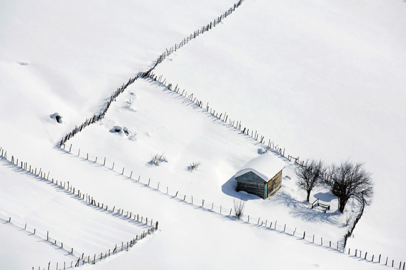 زمستان زیبای جنگلهای تالش به روایت تصویر خبرگزاری روسی