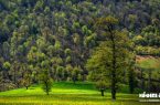 تعیین محدوده ی جنگل های هیرکانی منطقه حفاظت شده لیسار ثبت شده در فهرست میراث جهانی یونسکو