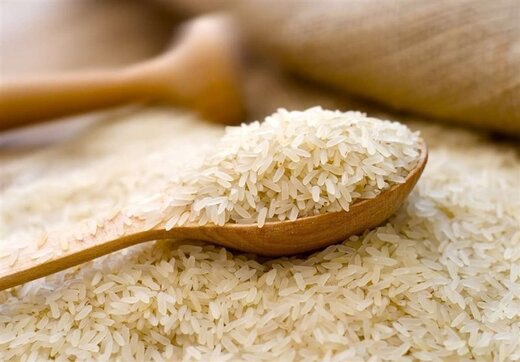 گرانی برنج ایرانی دست واسطه‌ها و دلالان است / برنج ۹۰ هزار تومانی را ۳۵ هزار تومان از کشاورز خریدیم