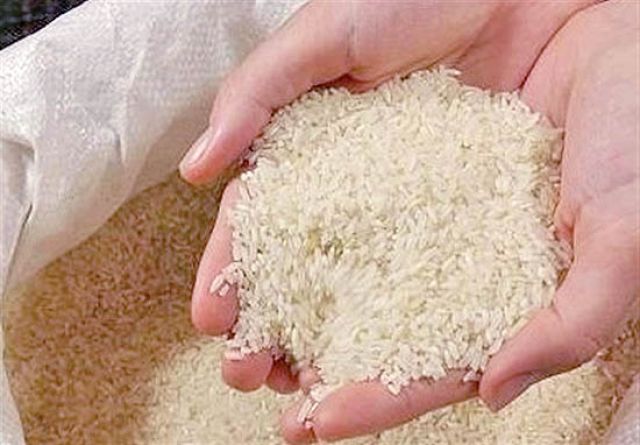 ۱۰۰ هزار تن برنج بومی گیلان در دست دلالان