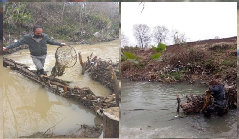 تخریب سدهای غیرمجاز ماهیگیری در رضوانشهر | جمع آوری دام‌ها و سدها تا پایان فصل تخم‌ریزی ماهیان