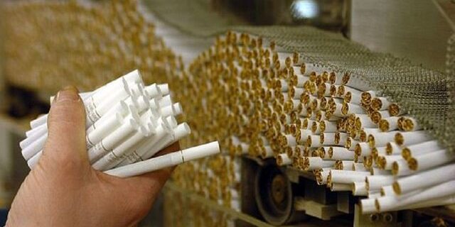 تبدیل وضعیت۱۶۰ نفر از کارگران مجمتع دخانیات/ افزایش کشت توتون و تولید سیگار در گیلان
