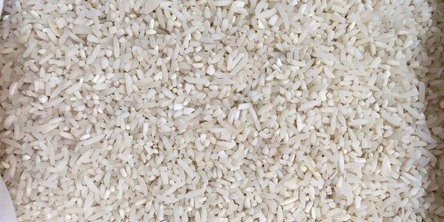 ارتقای معیشت برنجکار دستاورد کاهش ضایعات برنج