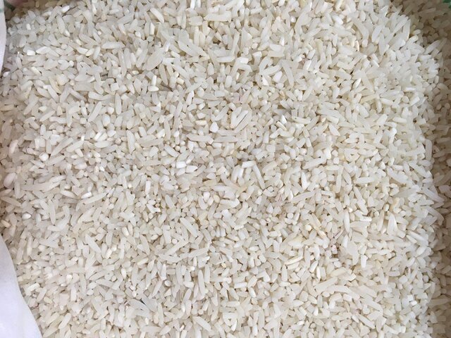 ارتقای معیشت برنجکار دستاورد کاهش ضایعات برنج