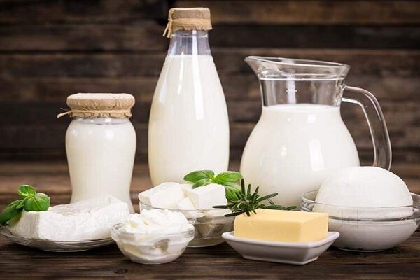 هزینه تولید شیر بیشتر از قیمت فروش در گیلان