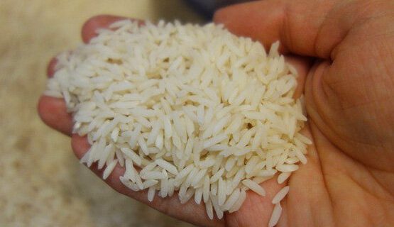 کشاورزان بی نصیب از پول گرانی برنج 