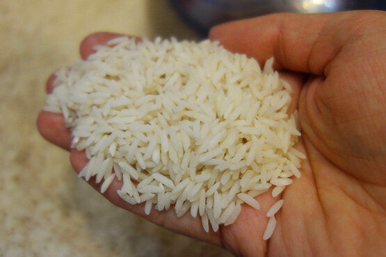کشاورزان بی نصیب از پول گرانی برنج 