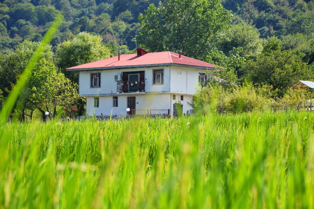 گیلان استان برتر در مقاوم سازی خانه های روستایی
