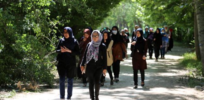 آمارهای عجیب از دختران دور از تحصیل و بی شغل ایران