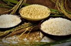 معرفی رقمی زودرس برای کشت مجدد برنج