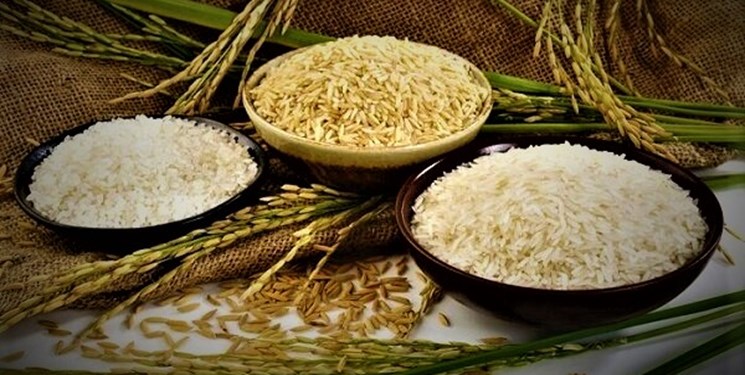 معرفی رقمی زودرس برای کشت مجدد برنج