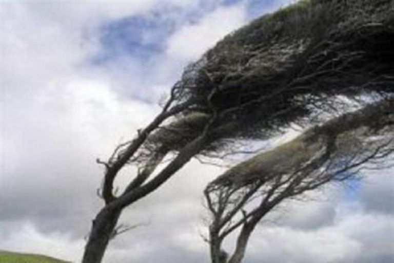 سرعت وزش باد در مناطقی از گیلان به ۱۰۰ کیلومتر بر ساعت رسید