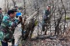 دستگیری عامل قطع غیر مجاز درختان  و رفع تصرف بیش از ۵ هزار مترمربع زمین منابع طبیعی در آستارا