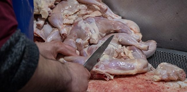 عرضه مرغ گران‌تر از نرخ مصوب/ مرغ‌داران به دنبال مجوز افزایش قیمت