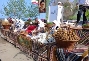 برگزاری اولین جشنواره ملی شکوفه های کیوی تالش