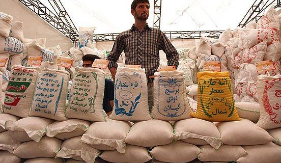 بدهی چند صد میلیون دلاری دولت به وارد کنندگان برنج/ هندی‌ ها فروش اعتباری برنج به ایران را متوقف کردند