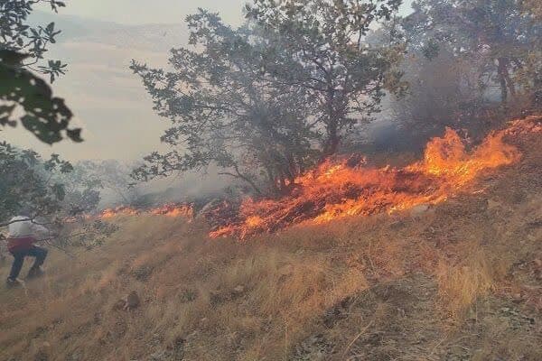 اطفای آتش سوزی جنگل‌ های گیلان / آتش سوزی‌ ها به صورت لکه‌ای و سطحی بوده است
