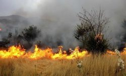 آتش سوزی در بیش از ۲هزار مترمربع مراتع گیلان