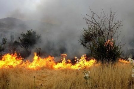 آتش سوزی در بیش از ۲هزار مترمربع مراتع گیلان