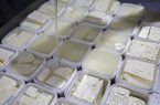 جدیدترین قیمت انواع پنیر در بازار ؛ از پنیر لیقوان و کوزه تا خامه ای و پروبیوتیک