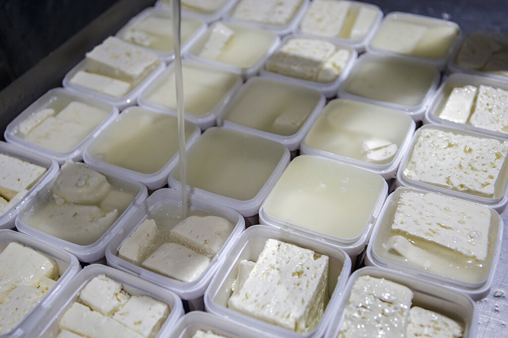 جدیدترین قیمت انواع پنیر در بازار ؛ از پنیر لیقوان و کوزه تا خامه ای و پروبیوتیک