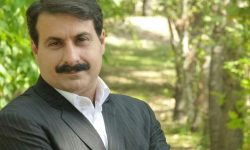 آیا “شیون” از شبکه استانی شنیده می‌شود؟!