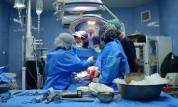 زندگی دوباره ۳ هموطن با اهدای عضو شهروند مرگ مغزی گیلانی
