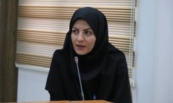 لزوم استانداردسازی محصولات کیوی در راستای رونق صادرات