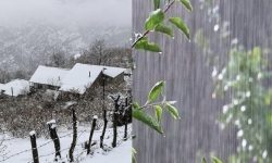 گیلان ۲۰ درجه سرد می شود/ احتمال بارش برف در جلگه