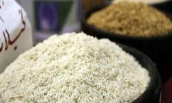 انتقاد از اجرای کند اختصاص تسهیلات برای خرید توافقی برنج مازاد کشاورزان