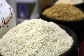 انتقاد از اجرای کند اختصاص تسهیلات برای خرید توافقی برنج مازاد کشاورزان