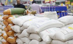 کاهش بیش از ۳۰ درصدی قیمت برنج ایرانی نسبت به سال گذشته