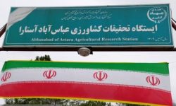 مرکز تحقیقات کیوی تالش به آستارا رفت !