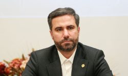 اقتصاد کیوی به نفع دلالان طرحی شده است | دولت مکلف به خرید محصولات کشاورزی است