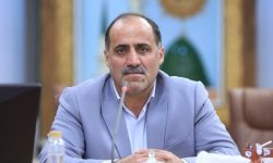 دولت، زمینه صادرات پرتقال شمال را فراهم کند/ بسیاری از باغداران مرکبات به فکر قطع درختان و تغییر کشت هستند