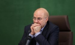 قالیباف بر سر دوراهی؛ انصراف یا ادامه /«پاجوش ها» نسخه یک «چنار» را پیچیدند /چالش بزرگ در زندگی سیاسی رئیس مجلس