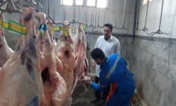 آغاز طرح تشدید نظارت بهداشتی ویژه ماه مبارک رمضان و عید نوروز ۱۴۰۳ در شهرستان تالش