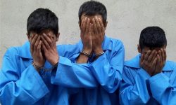 دستگیری باند سارقان کابل برق در تالش