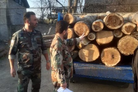 کشف وضبط چوب آلات قاچاق در شهرستان تالش