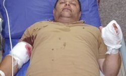 دستگیری ضاربانِ مامور منابع طبیعی تالش کمتر از ۲۴ ساعت