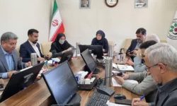 مذاکرات نهایی برای صادرات کیوی مازندران به هندوستان