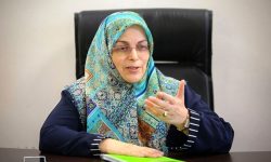 ترکیب کابینه با معدل مورد انتظار جبهه اصلاحات فاصله دارد؛ پیگیر دیدار با رئیس جمهوری هستیم