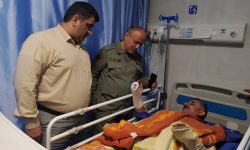 حمله خرس به محیط بان گیلانی