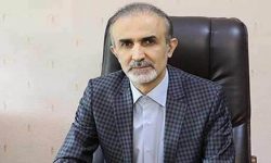 بیش از ۳۲۰۰ زوج نابارور گیلانی تخت پوشش بیمه سلامت هستند