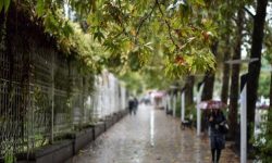 باران پاییزی در راه گیلان