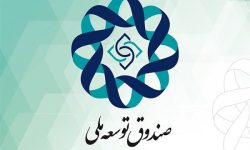 موافقت رهبر انقلاب با پیشنهاد پزشکیان درباره سهم صندوق توسعه ملی