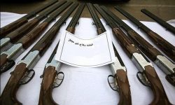 جمع‌آوری ۹۷ سلاح شکاری غیرمجاز و جنگی در تالش