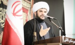  زمان اغاز صادرات کیوی تشریفاتی نباشد / نامه وزارت خانه به گمرکات ابلاغ شود