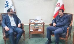 دیدار نماینده تالش با وزیر ورزش /  نور ورزشگاه پوریای ولی تالش تا مسابقات برمیگردد