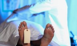 جان باختن ۱۷۸ هزار ایرانی در ۵ ماه نخست امسال
